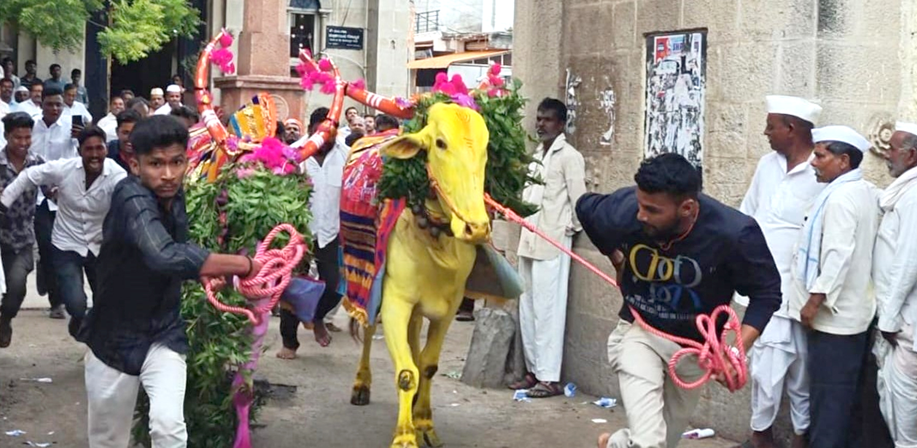 News image